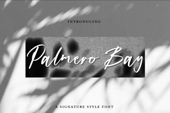 Palmero Bay: Elevating Modern Visual Design