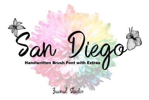 San Diego: Elevate Your Visual Design