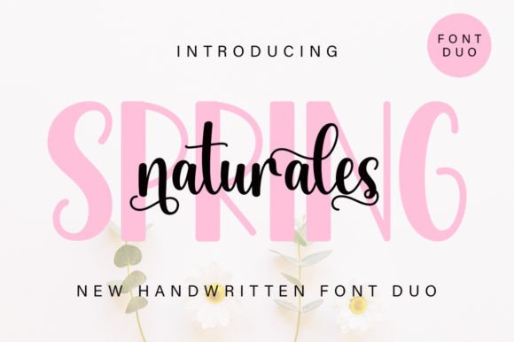 Spring Naturales Duo: A Font for Romantic Design